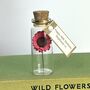 Tiny Gerbera Daisy In A Bottle With Personalised Tag, thumbnail 1 of 11