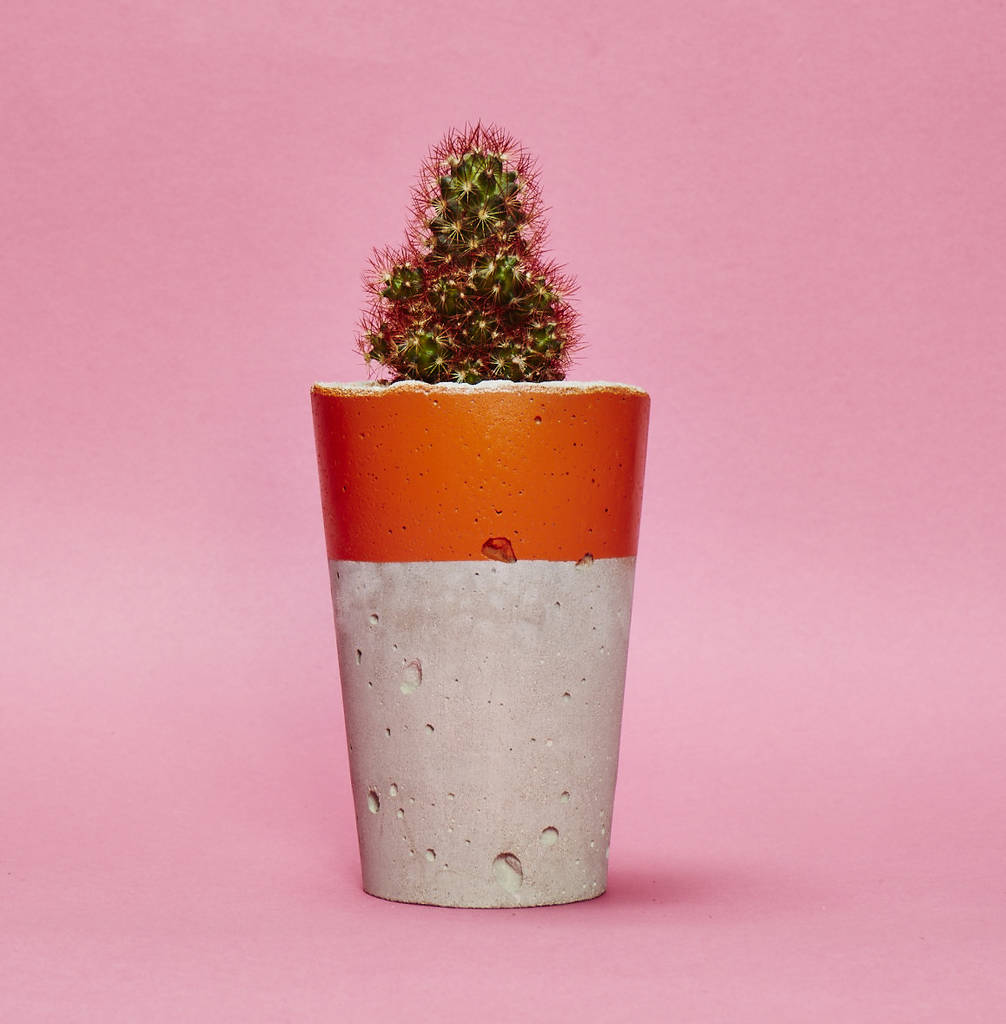 Concrete Pot Tall With Cactus/ Succulent In Orange, 1 of 3
