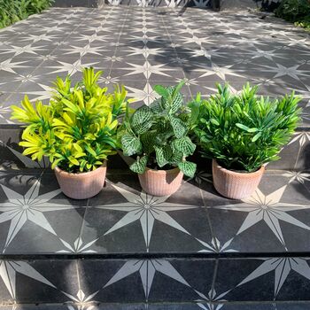 Set Of Three Artificial Plants In Terracotta Pots, 3 of 3