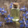 Herb Plants Borage In 9cm Pots, thumbnail 4 of 7