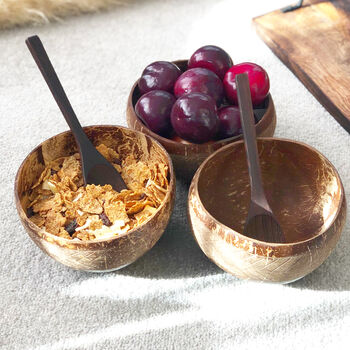 Eco Friendly Coconut Shell Bowls And Spoons, 2 of 6