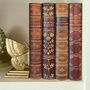 Set Of Four English Historical Themed Book Look A4 File Ring Binders Create Shelf Art And Storage, thumbnail 1 of 4
