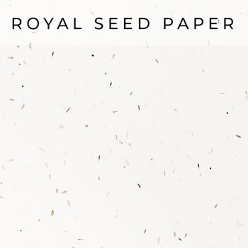 Cirrus Seed Paper Wedding Invitations, 2 of 3