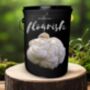 Michelin Quality Organic Lion’s Mane Grow Kit, thumbnail 1 of 2