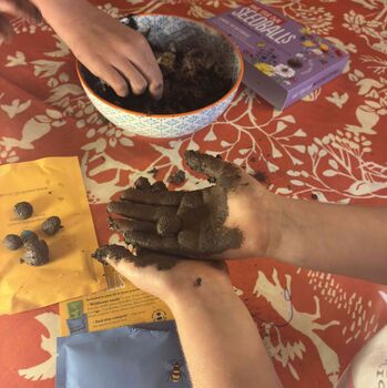 Seed Ball Making Activity Kit With Bee Friendly Wildflower Seeds, 4 of 12