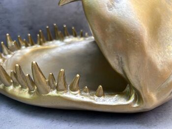 Gold Shark Mouth Bowl – Dish For Fruit, Nuts Or Décor Gift, 6 of 9
