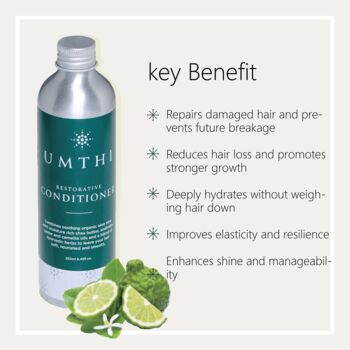Restorative Shampoo To Soothe Itchy Scalp, 2 of 8
