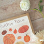 Pumpkin Patch Luxury Print, thumbnail 3 of 6