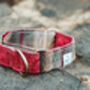 Waxed Cotton Martingale Collar, thumbnail 6 of 9