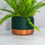 Forest Honeycomb Planter, thumbnail 3 of 4