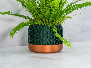 Forest Honeycomb Planter, 3 of 4