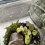 Houseplant Propagation And Terrarium Workshop For Two, Manchester, thumbnail 9 of 11