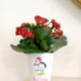 Christmas Puffin Plant Pot. Personalised Flowerpot, thumbnail 5 of 5
