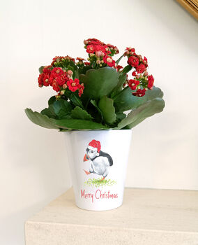 Christmas Puffin Plant Pot. Personalised Flowerpot, 5 of 5