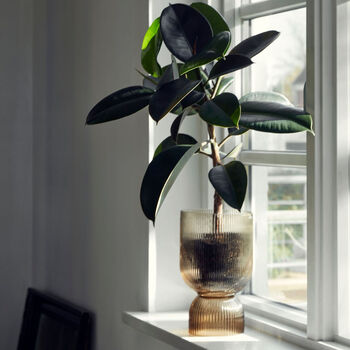 Riva Ribbed Amber Glass Hurricane Vase, 5 of 8