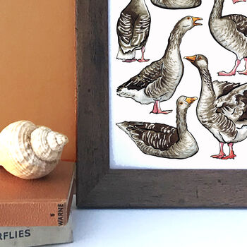 Gaggle Of Geese Watercolour Print, 6 of 9