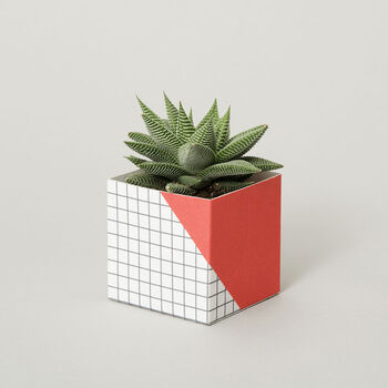 Geometric Plant Pot Cover Small, 5 of 7