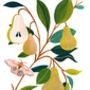 Pear Art Print, thumbnail 5 of 5