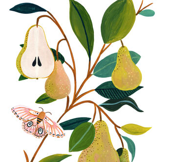 Pear Art Print, 5 of 5