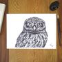 Little Owl Pen And Ink Illustration Framed Print, thumbnail 2 of 3