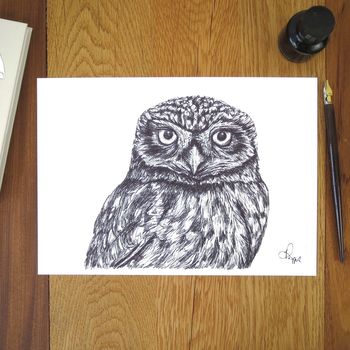 Little Owl Pen And Ink Illustration Framed Print, 2 of 3