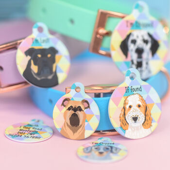 Personalised Dog ID Tag Dog Breed Harlequin, 2 of 12