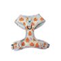 Dog Harness Christmas Dog Outfit Gingerbread Candy Cane, thumbnail 6 of 9
