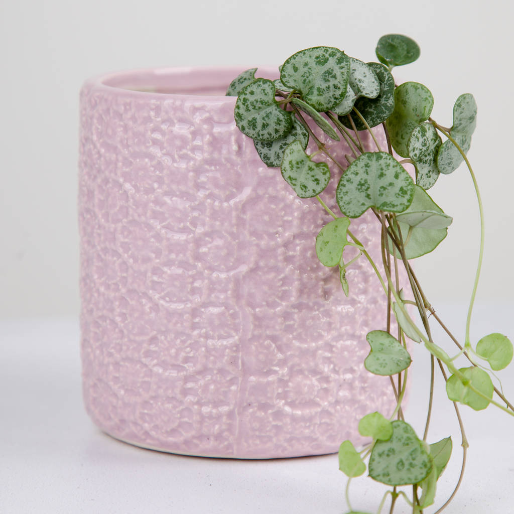 Retro Style Patterned Pink Planter / Plant Pot, 146 By Stupid Egg