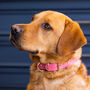 Genuine Leather Bubblegum Pink Soft Italian Dog Collar, thumbnail 6 of 7