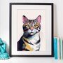 Tabby Cat Head And Shoulders Portrait Illustration Art Print, thumbnail 3 of 3