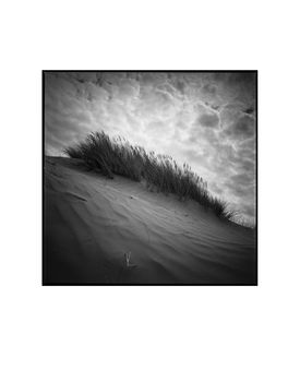 Sand Dune I, North Devon Photographic Art Print, 3 of 4