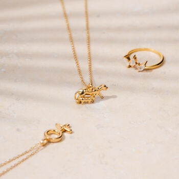 Lionness And Cub Gold Plated Necklace, 10 of 10