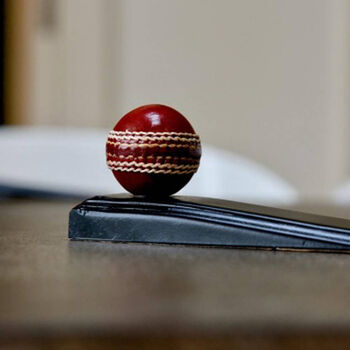 Cricket Ball Door Wedge, 2 of 4