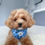 Blue Dot Adjustable Padded Dog Harness, thumbnail 4 of 12