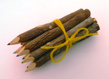 Twig Pencil Crayons, 5 of 6