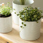 White Speckled Ceramic Plant Pot, thumbnail 2 of 4