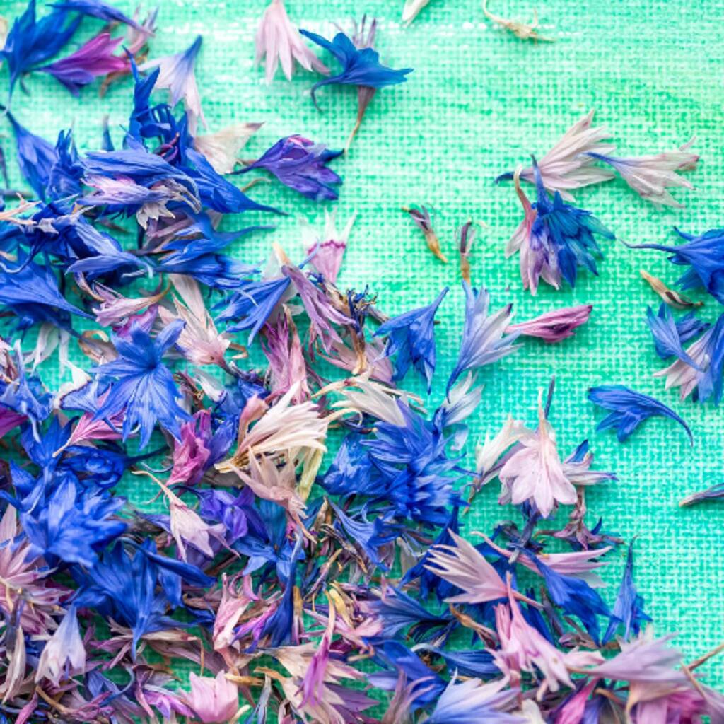 Edible Dried Petals – Polly's Petals