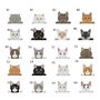 Personalised Cat Adventures Pop Out Photo Box, thumbnail 7 of 10
