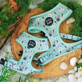 Mint Choc Chip Easter Bunny Dog Harness With Optional Set, 2 of 12