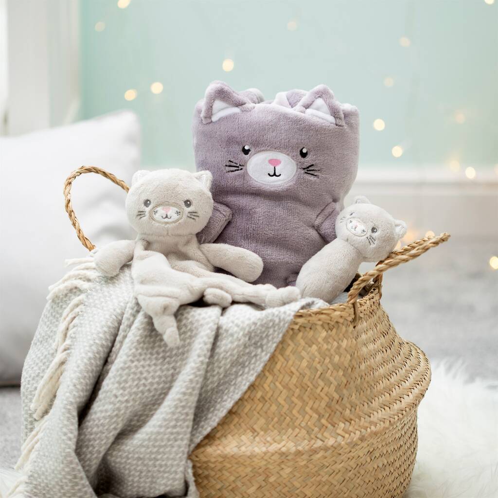 Kitty Cat Soft Fleece Baby Blanket By Lola & Alice | notonthehighstreet.com