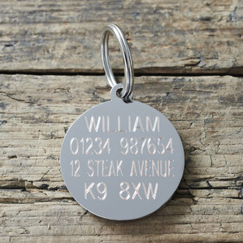 'I Just Met You This Is Crazy' Dog ID Tag, 2 of 2