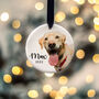 Personalised Dogs First Christmas Bauble Decoration, thumbnail 7 of 10