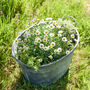 Metal Planter Tub With Handles, thumbnail 2 of 4