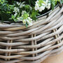Round Rattan Zinc Lined Planter, thumbnail 4 of 5