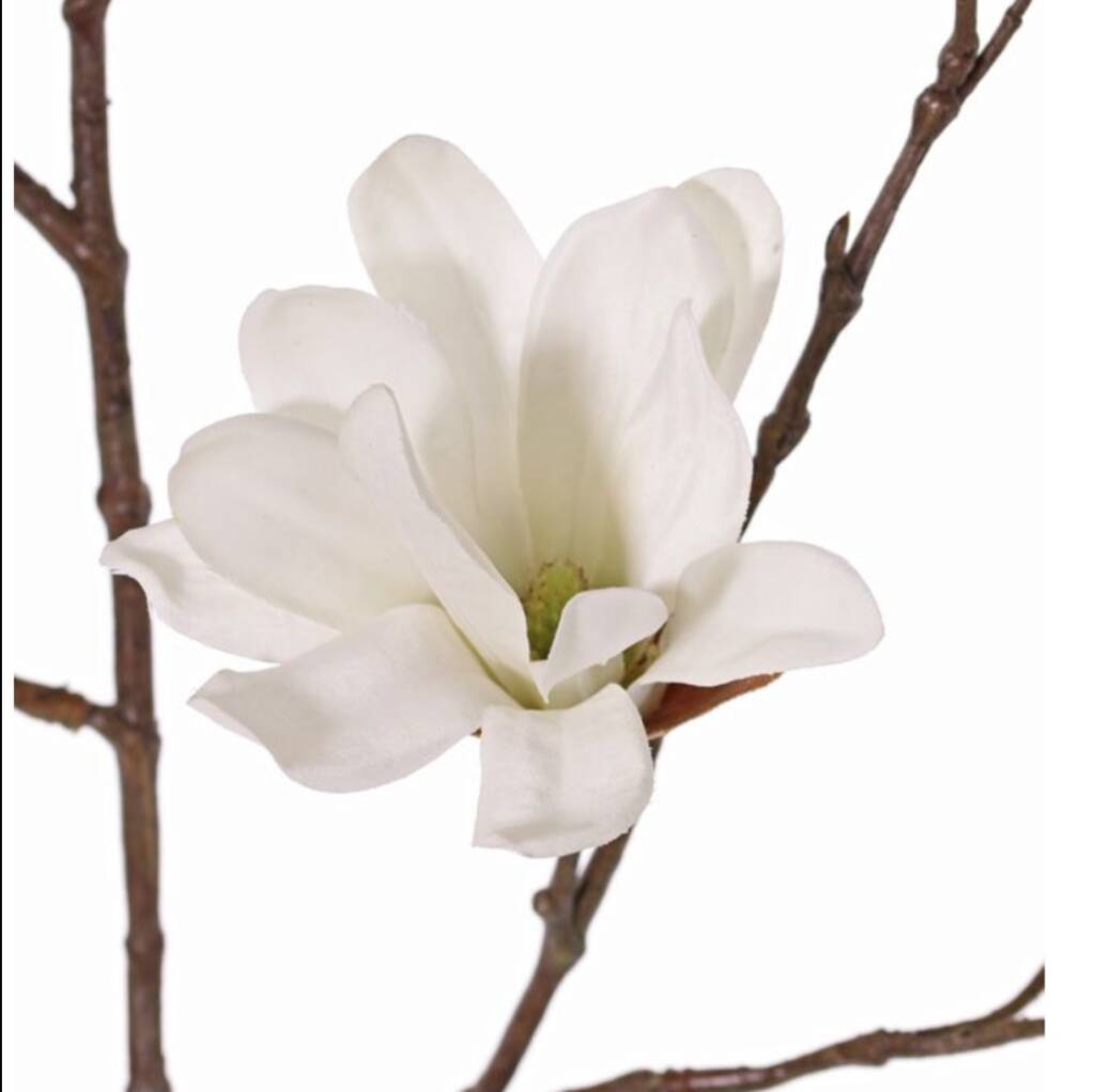 Luxury 1m Real Touch Magnolia Flower Stem By Oh So Kel