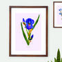 Iris Amas Botanical Eco Art Print. One Print = One Tree, thumbnail 1 of 6