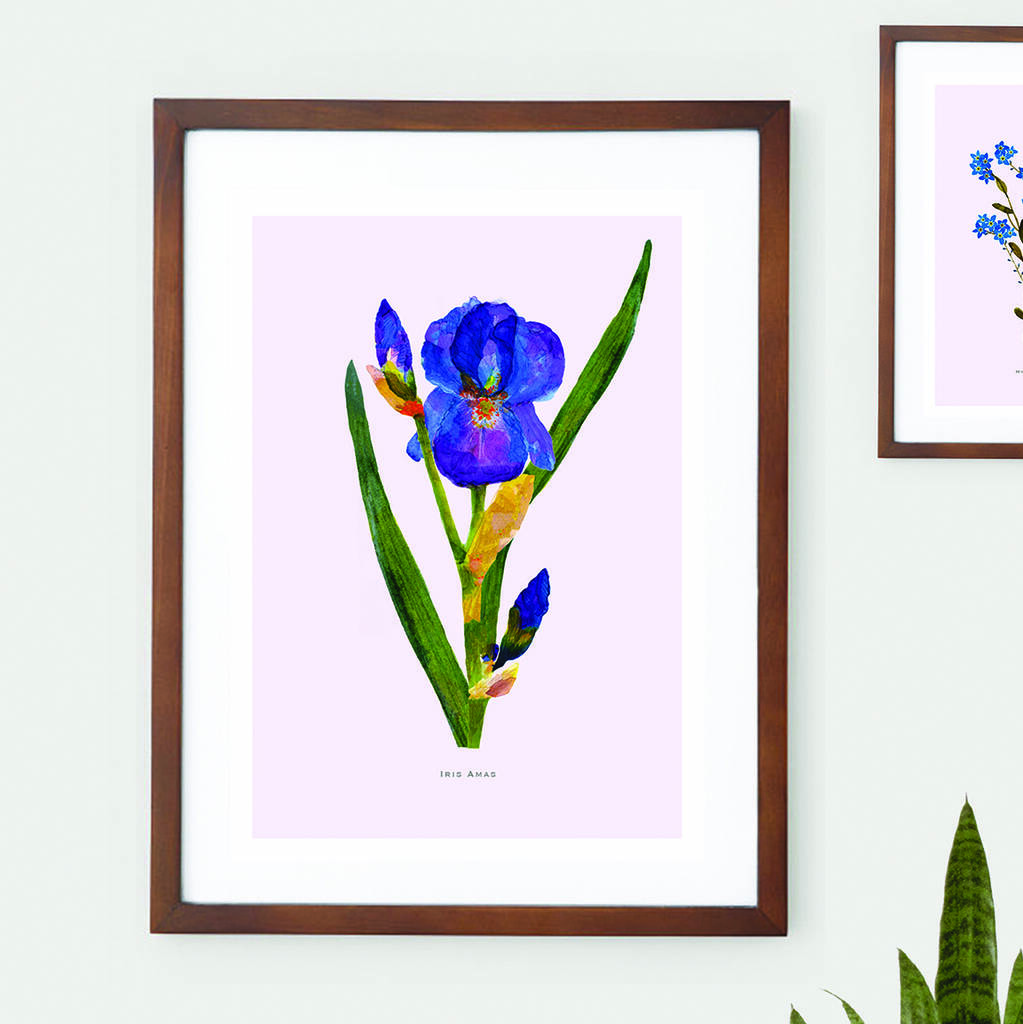 Iris Amas Botanical Eco Art Print. One Print = One Tree, 1 of 6