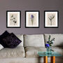 Cow Parsnip, Vintage Collection Print, thumbnail 6 of 7