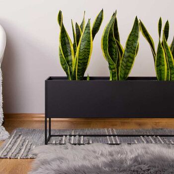 Black Very Long Metal Planter On Stand, 8 of 11