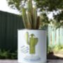 Personalised Percy Pricklebum. Grow Your Own Cacti Kit, thumbnail 3 of 6